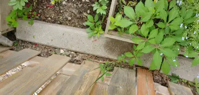 DRIVE WAYEDGE STONE/GARDEN PAVERS FOR SALE, EACH $12-$16-, View more