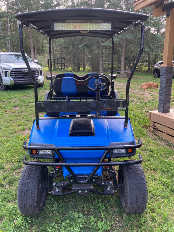 ELECTRIC GOLF CART - ONE OF A KIND - Don't get left behind! in Golf in Strathcona County - Image 3