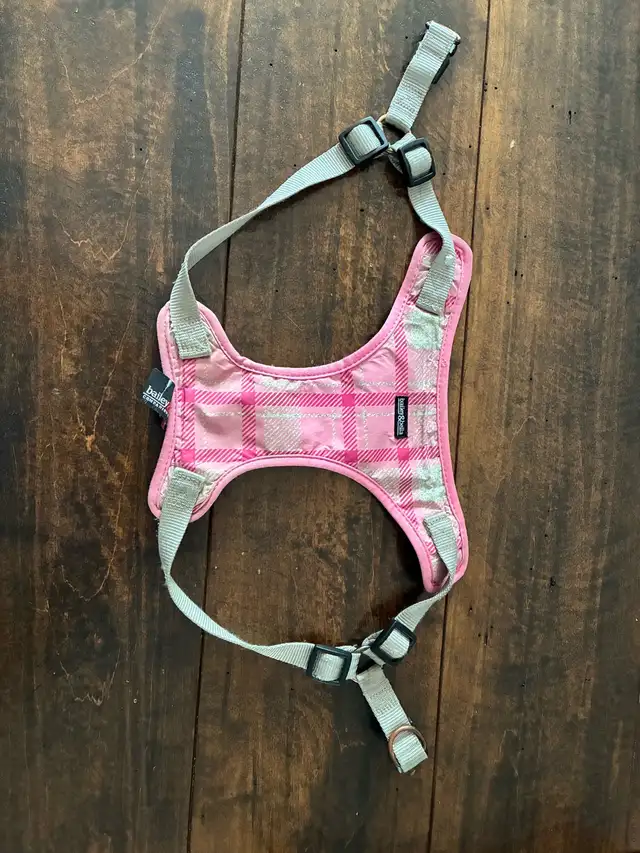 Dog Harness  in Other in Kingston - Image 2