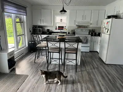 Chambre à louer – 650 $ / mois – Disponible immédiatement Belle chambre propre et confortable à loue...