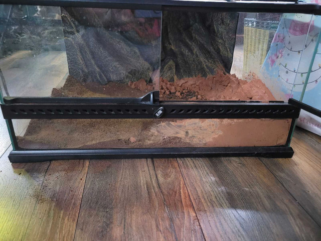 Various Tanks for Sale in Reptiles & Amphibians for Rehoming in Oshawa / Durham Region - Image 3
