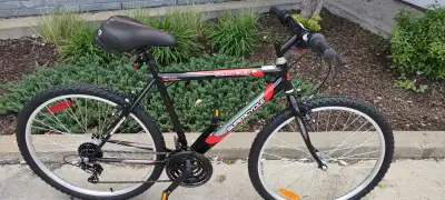 Bicycle Supercycle 1600, View more