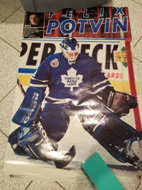 Toronto Hockey - Felix Potvin Poster for Sale by carlstad