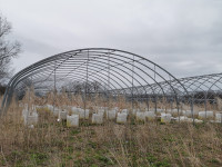 Greenhouses for sale in Warkworth