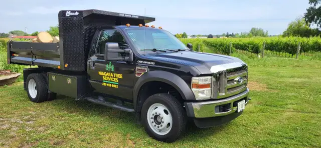 Tree Services64840195713410120