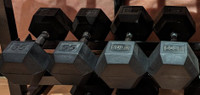 Dumbbells (Rubber Coated Hexagon)