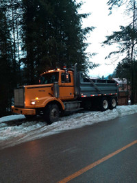 2000 18 spd, CAT 3406E Western Star  & 2003 Interstate trailer