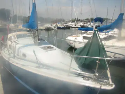 She needs nothing, has 3 surveys, winner Lo300, Whitby 50, Large sail inventory, hull proffessionall...