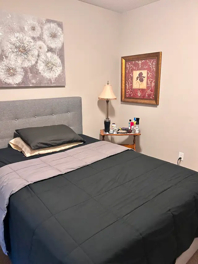 Female ..ROOM FOR RENT $ 700.00 a month….. in Room Rentals & Roommates in Ottawa - Image 11