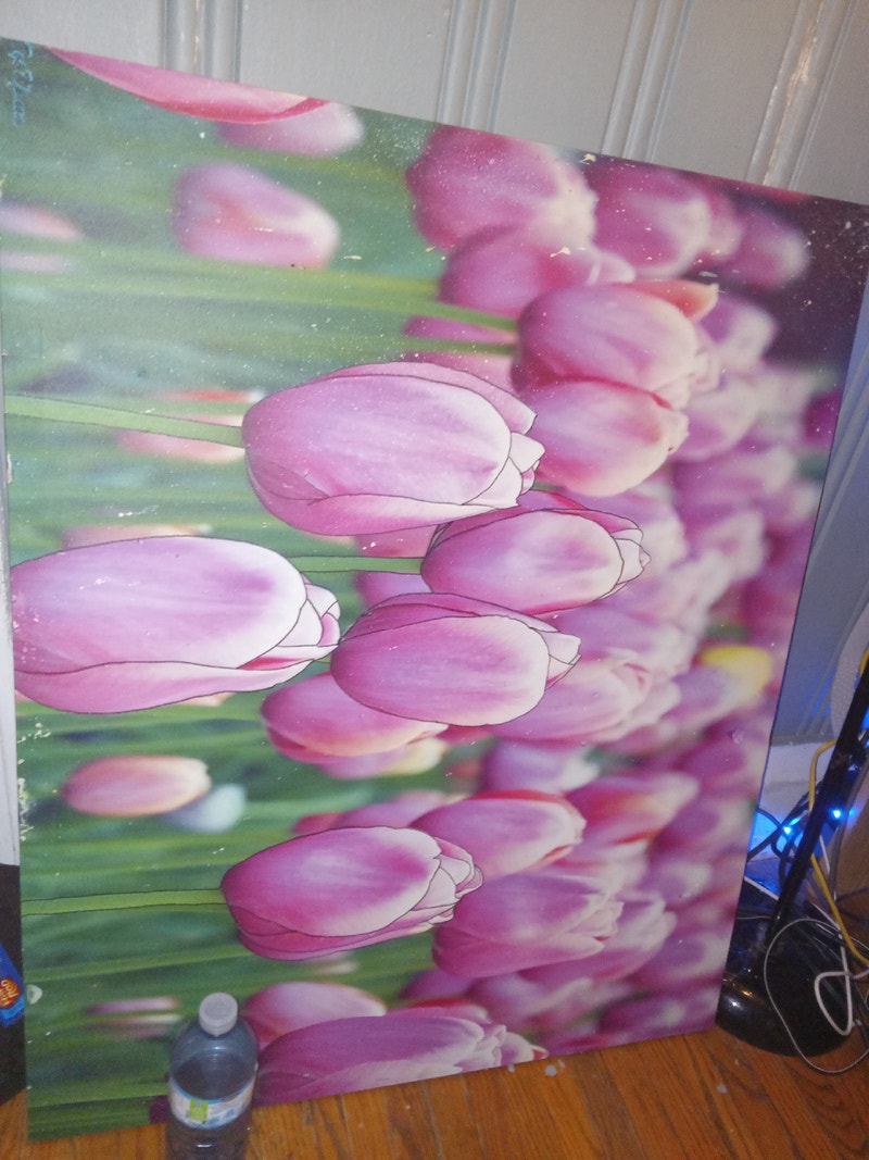 Picture of flowers Other Windsor Region Kijiji