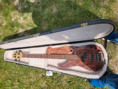Plays nice, lighter weight than most. Includes hardshell case. Also have 40 W Peavey bass amp, like...