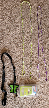 Rat Leashes and Accessories 