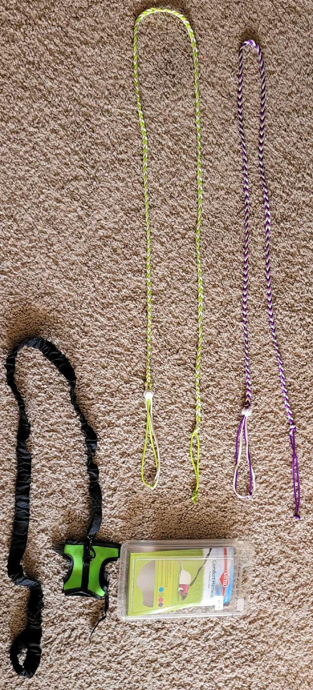 Rat Leashes and Accessories  in Accessories in Winnipeg