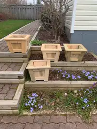 Planter Boxes 