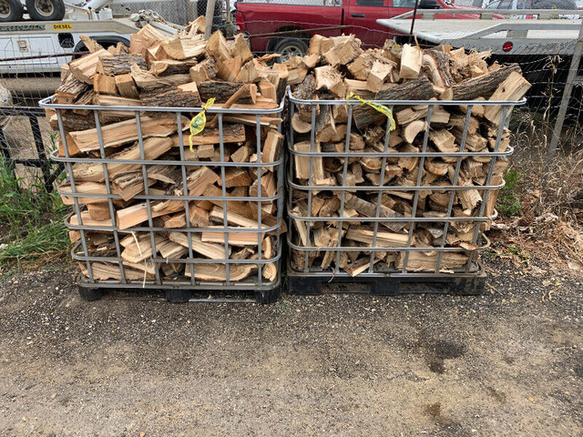 Firewood for Heating , smoking, or burning in BBQs & Outdoor Cooking in Edmonton - Image 2