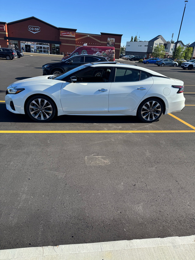 2021 Nissan maxima platinum 48500km in Cars & Trucks in Edmonton - Image 2