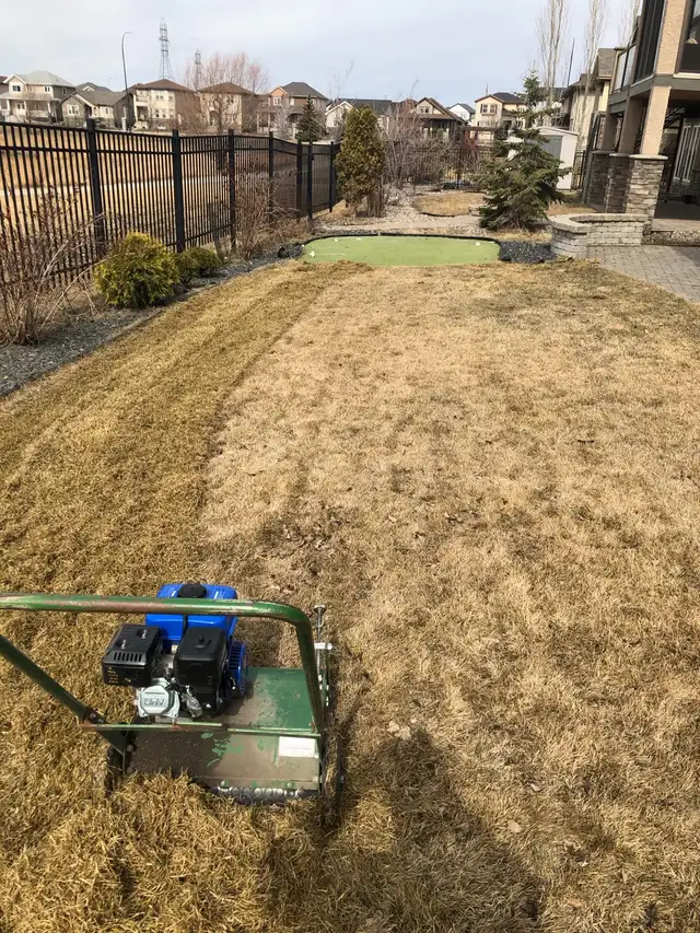 spring cleanup starting soon in Lawn, Tree Maintenance & Eavestrough in Winnipeg - Image 5
