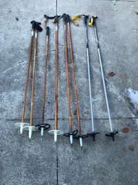 Ski Poles Collection