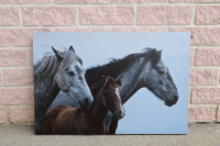 Belle toile  représentant 3 chevaux
