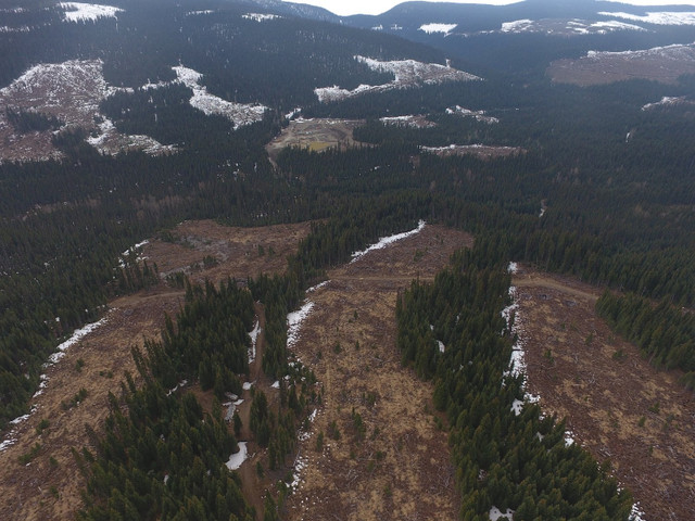 Willow River Gold Claim in Land for Sale in Quesnel - Image 3