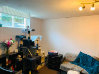 1 bedroom bright basement apartment