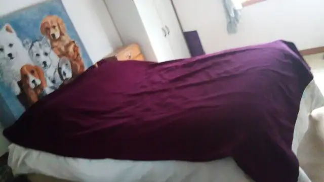 Duvet cover in Bedding in Guelph - Image 2