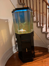 Fish tank (25 gallon)&stand& 1 fish