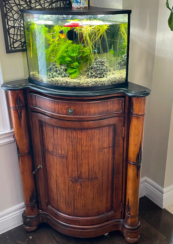 Fish Tank & Stand! in Accessories in Hamilton