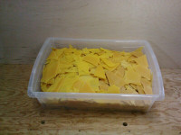 Light color Beeswax chips