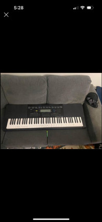 Casio WK-245 keyboard