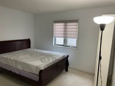 Room for rent for single professional female