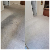 Professional Truckmount Carpet Cleaning 
