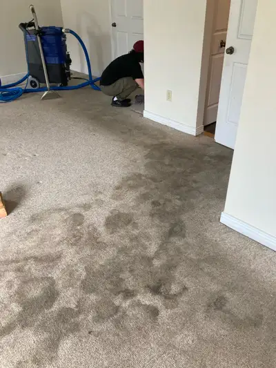 Get information and estimates for professional carpet, sofa and chair cleaning in Ottawa and Gatinea...