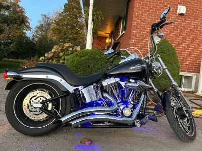 Harley Davidson Softail Custom. 17,000 kms. Lowered, custom rims, braided lines, screaming eagle cam...
