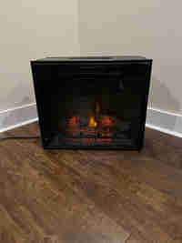 Electric fireplace insert w/remote.  Use with or without heat. 