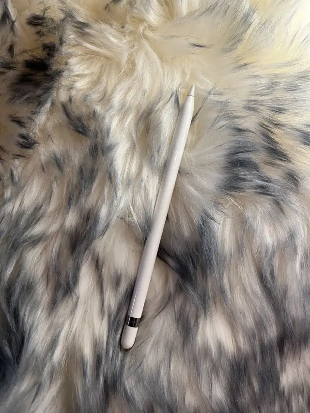 Apple Pencil + Free Case,Tip, USB-C Adapter FREE SHIPPING in BC in General Electronics in Burnaby/New Westminster - Image 3