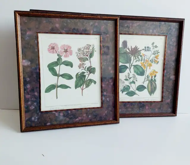 3 'Edwards Botanicals' prints, by Bombay Compa in Home Décor & Accents in Hamilton - Image 7