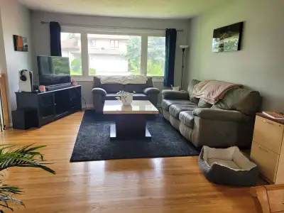 SEEKING FEMALE ROOMMATE - queer friendly Bright Bedroom + Full Private Bathroom. Bedroom can comfort...