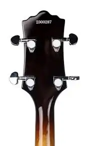 wanted - Tenor (4 string guitar), acoustic or electric Ottawa area preferred. Please let me know if...