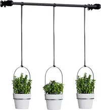 Plantes suspendues / Pots décoratifs