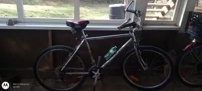 Raleigh Tarantula, View more