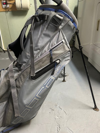 Cobra Golf bag 