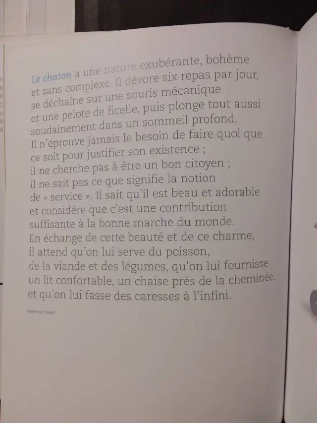 LIVRE: HUMEUR DE CHAT in Accessories in Lanaudière - Image 4