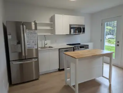 1 bedroom  unit for rent