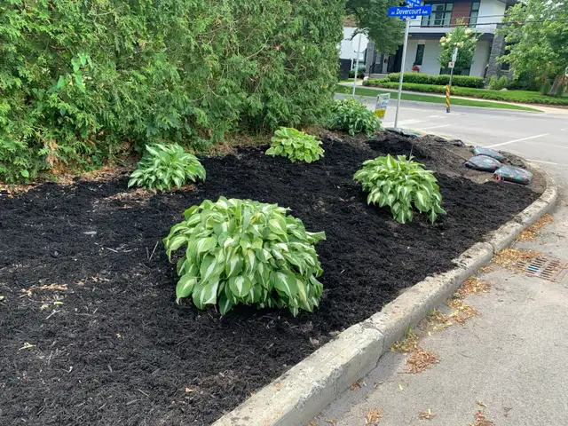 Yard work531649299282677768
