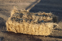 Flax straw bales