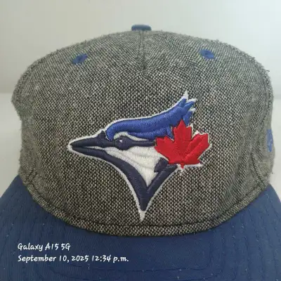 Toronto Blue Jays Hat, View more