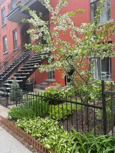 LIBRE LE 1ER JUILLET VISITE SUR RDV Lumineux 4 1/2, au 1er étage d'un triplex, avec propriétaires oc...