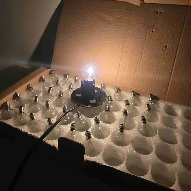 38 Clear Incandescent Light Bulbs For Patio String Lighting
