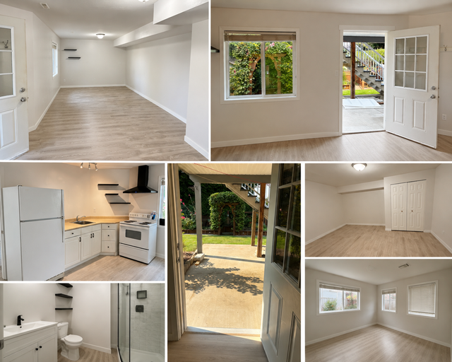 One Bedroom + Den Basement Suite
